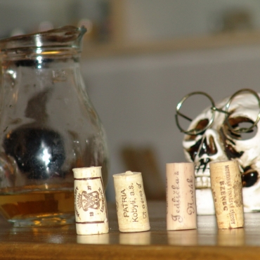 Degustace a výlov 2009