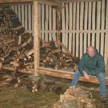 Dřevo 2006