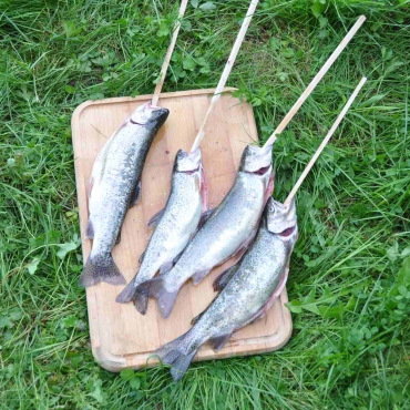 Rybářské závody 2011
