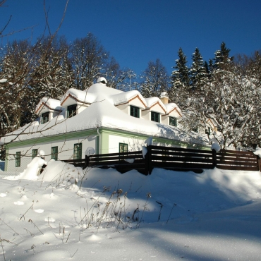 2006