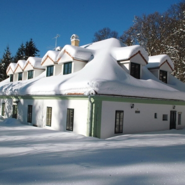 2006