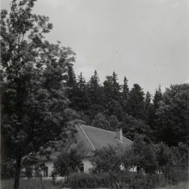 1980